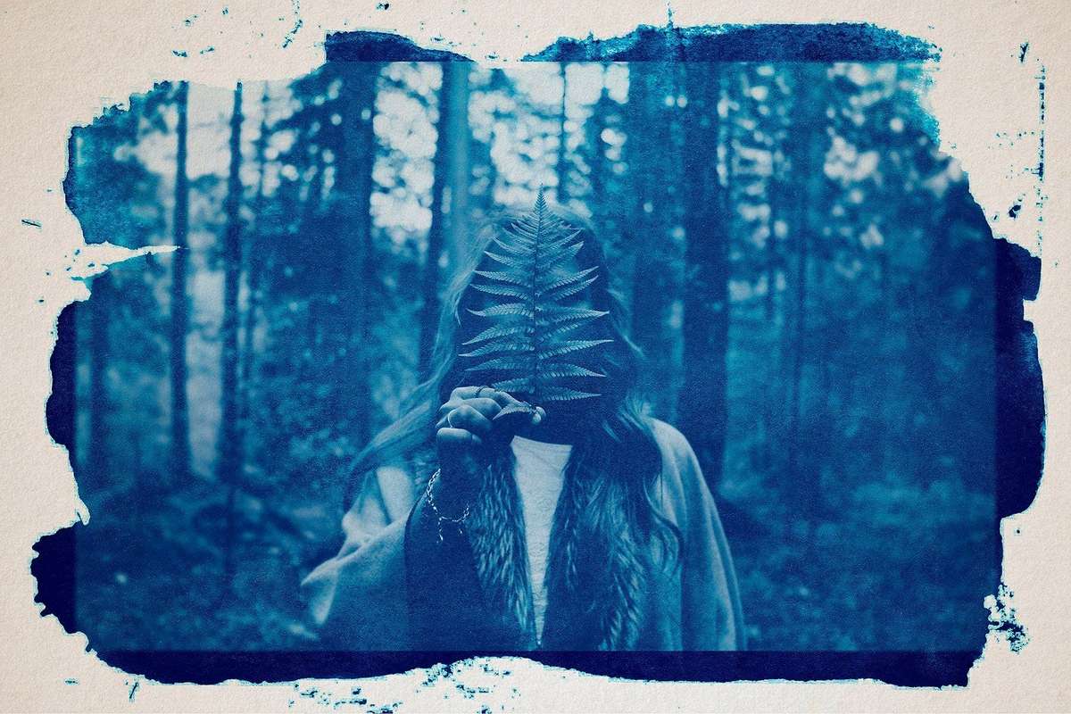 Cyanotype photo demo